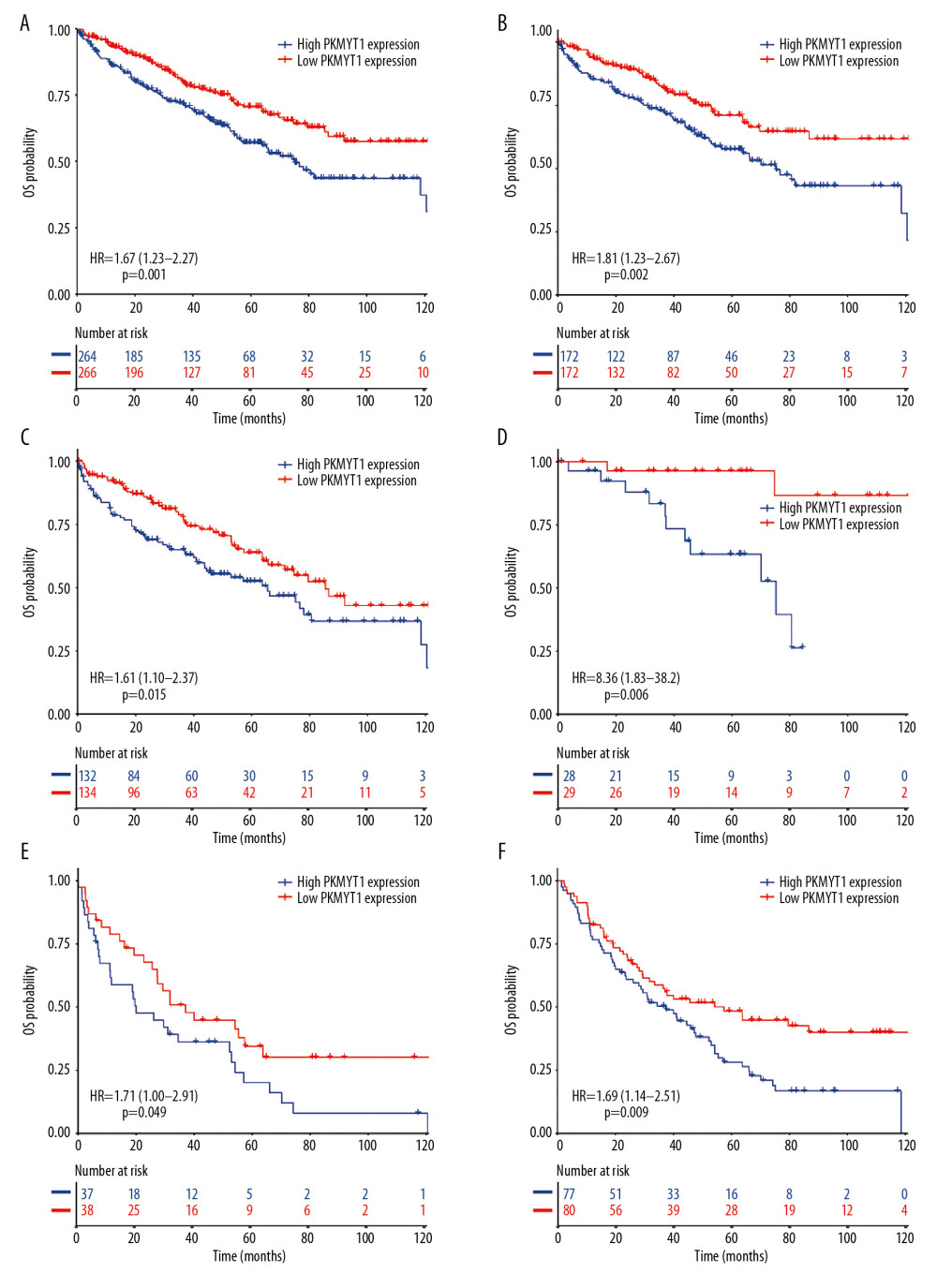 Overexpressed PKMYT1 exerts negative effects on ccRCC prognosis. Survival analysis reveals OS between high PKMYT1 and low PKMYT1 mRNA levels in (A) all ccRCC cases from the TCGA database, (B) male patients, (C) cases with age >60 years, (D) TNM stage II, (E) cases at histological grade 4, and (F) ccRCC that has relapsed. ccRCC – clear cell renal cell carcinoma; OS – overall survival; TCGA – The Cancer Genome Atlas; TNM, tumor, node, metastasis.