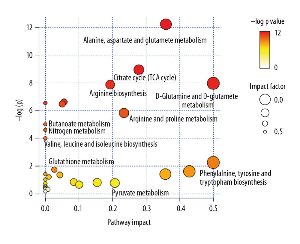 Pathway enrichment analysis of differential metabolites. The X axis represents the impact factor of the pathway topology analysis and the Y axis represents the P value of the pathway enrichment analysis (−log P value).
