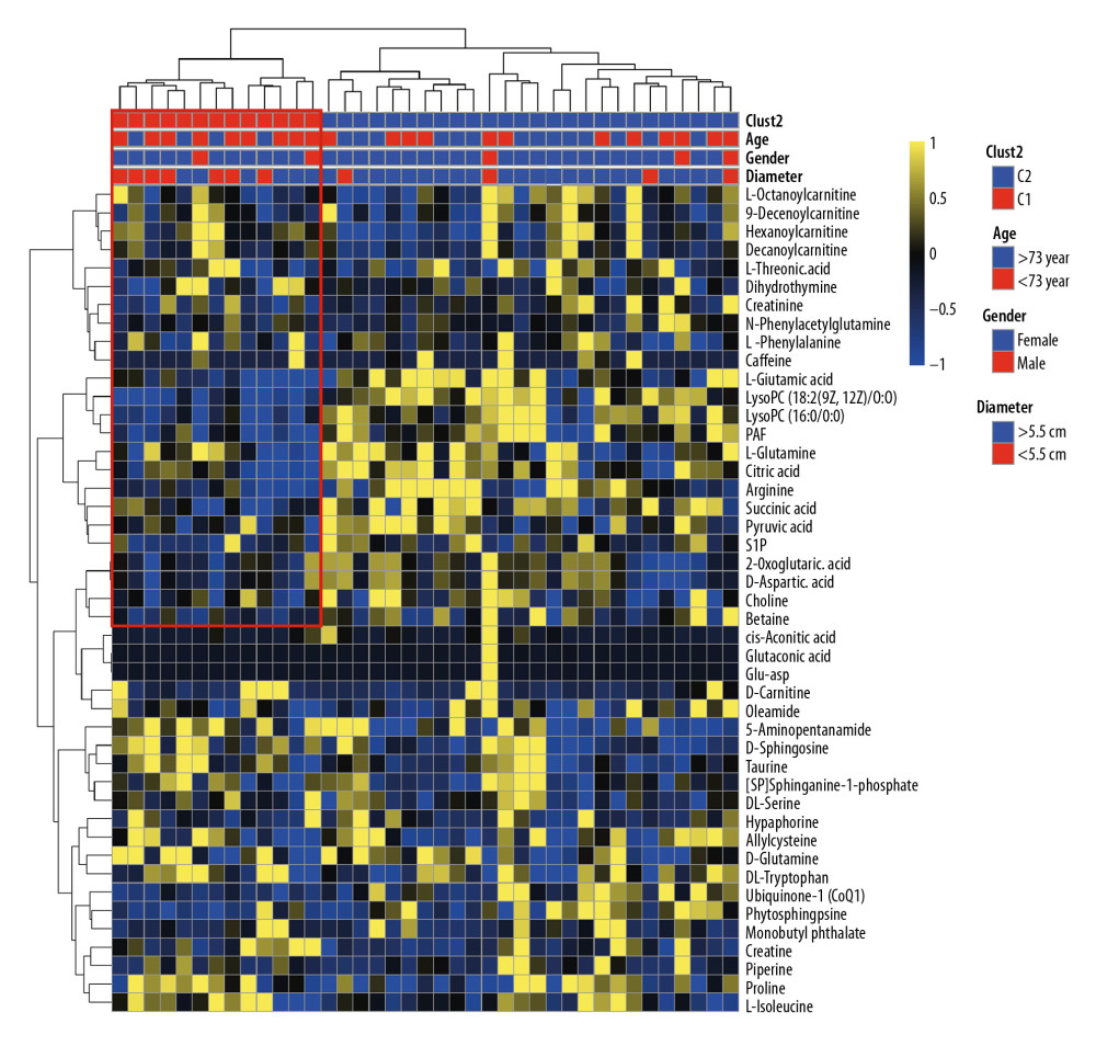 Cluster analysis of 45 differential metabolites in patients with abdominal aortic aneurysms. Rows represent differential metabolites, and columns represent samples.