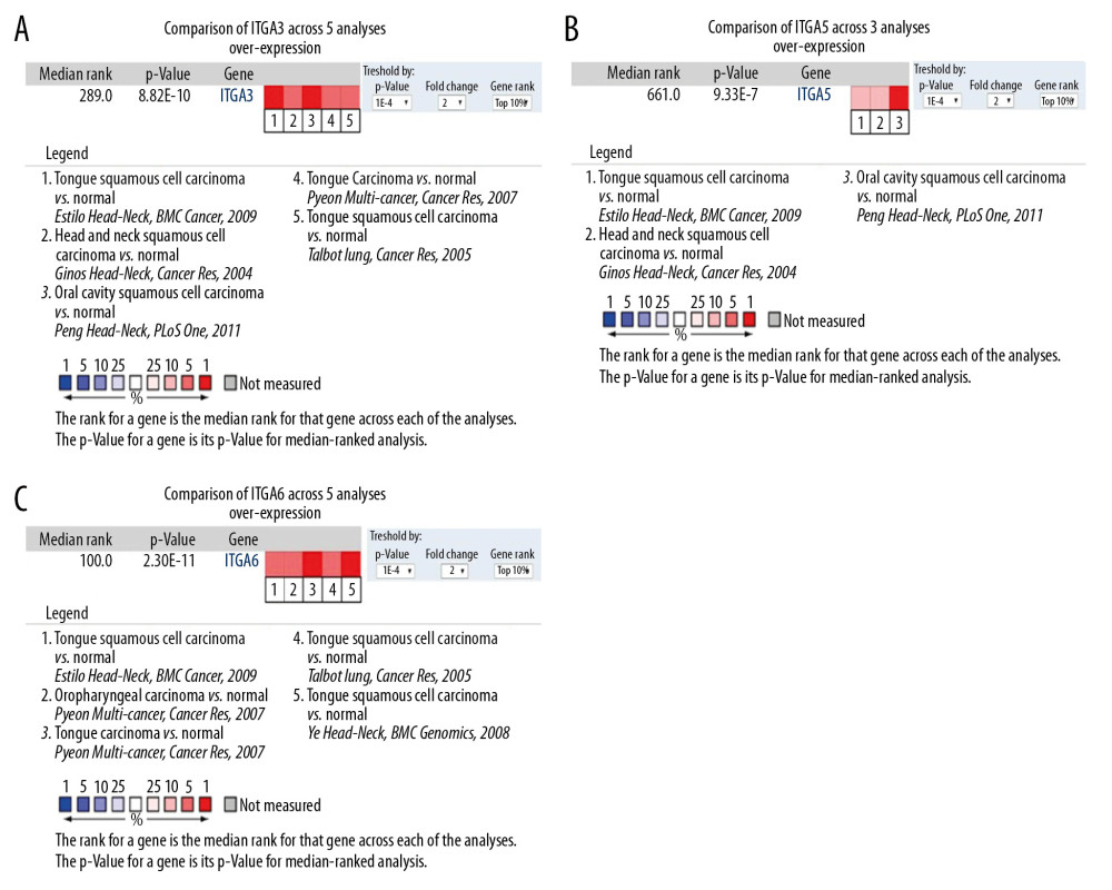 Comparison of mRNA expression levels across 13 analyses in the ONCOMINE database (A) Meta-analysis of ITGA3 expression in 5 analyses; (B) Meta-analysis of ITGA5 expression in 3 analyses; (C) Meta-analysis of ITGA6 expression in 5 analyses. P value: 1E-4; fold change: 2; gene rank: top 10%.