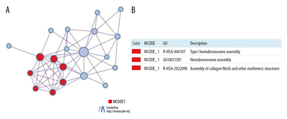 (A) Protein-protein interaction (PPI) network and MCODE’s most important components. (B) Independent analysis of MCODE components for functional enrichment.