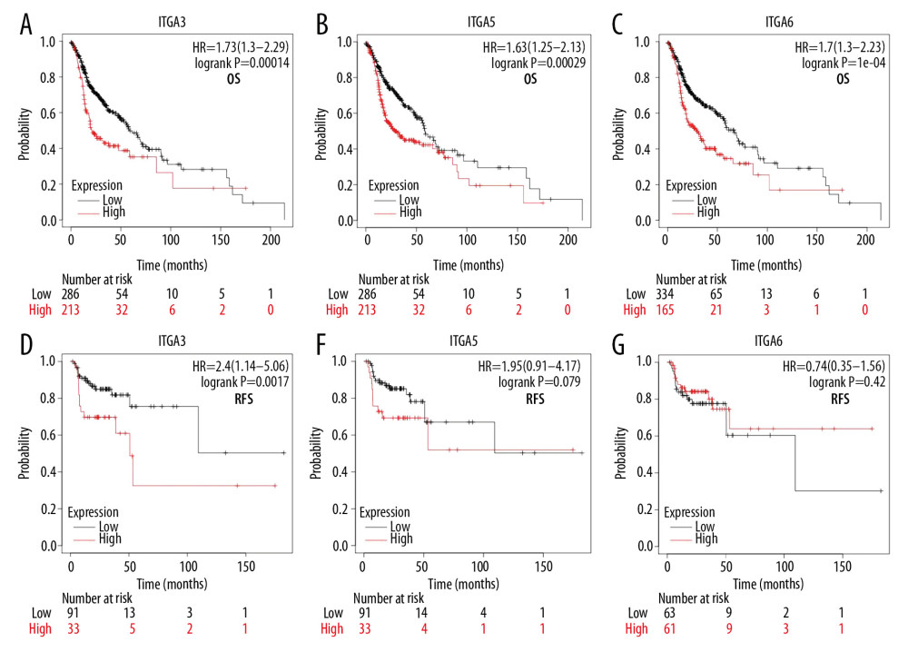 (A, D) The high and low expressions of ITGA3, (B, E) ITGA5, and (C, F) ITGA6 in patients with head and neck squamous cell carcinoma (HNSC); Kaplan-Meier plotter. OS – overall survival; RFS – relapse-free survival; HR – hazard ratio.