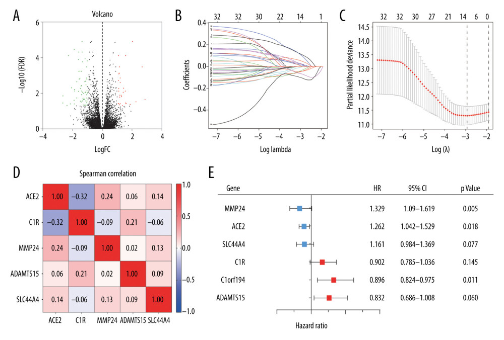 (A) Volcano plot of all differentially expressed genes (DEGs) identified among the 14 tyrosine kinase inhibitor (TKI)-resistant transplanted tumor samples and 14 untreated controls. (B) Lasso coefficient profiles of the fractions of 32 DEGs. (C) Tenfold cross-validation for tuning parameter selection in the Lasso model. (D) Correlations between the expression levels of 6 specific genes associated with clear cell renal cell carcinoma (ccRCC) were determined with the Spearman correlation coefficient. (E) Six DEGs that were highly related to the survival of ccRCC patients were identified by univariate Cox regression analysis.