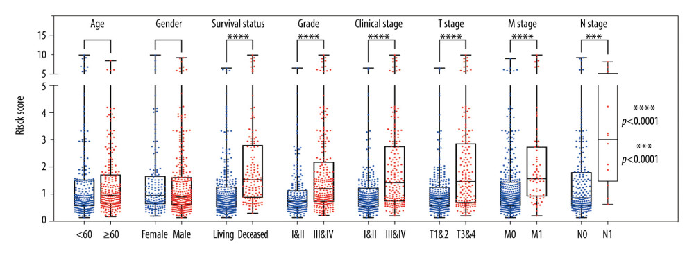 Stratified analysis of 6 differentially expressed genes (6-DEGs) risk scores associated with various clinicopathological parameters in patients with clear cell renal cell carcinoma (ccRCC). Patients were divided into subgroups according to age (<60 vs. ≥60), sex (female vs. male), tumor grade (I+II vs. III+IV), current survival status (alive vs. dead), clinical stage (I+II vs. III+IV), tumor stage (T1+T2 vs. T3+T4), as well as the status of distant metastasis (M0 vs. M1) and lymph node metastasis stage (N0 vs. N1); *** P<0.001; **** P<0.0001.