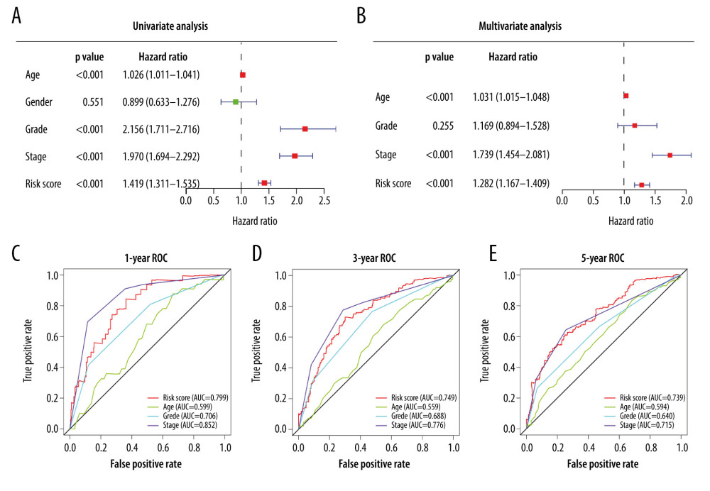 (A) Univariate Cox analysis and (B) multivariate Cox analysis of risk score and clinical characteristics. (C–E) Area under the receiver operating characteristic (ROC) curve of multiple factors for 1-, 3-, and 5-year overall survival (OS) prediction.