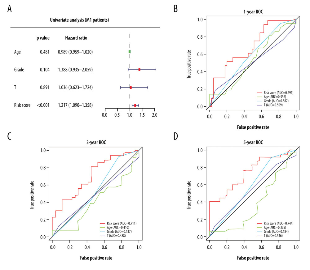 (A) Univariate Cox analysis of risk score for patients with metastatic disease (M1 patients). (B–D) Area under the receiver operating characteristic (ROC) curve of multiple factors at 1-, 3-, and 5-year OS prediction.