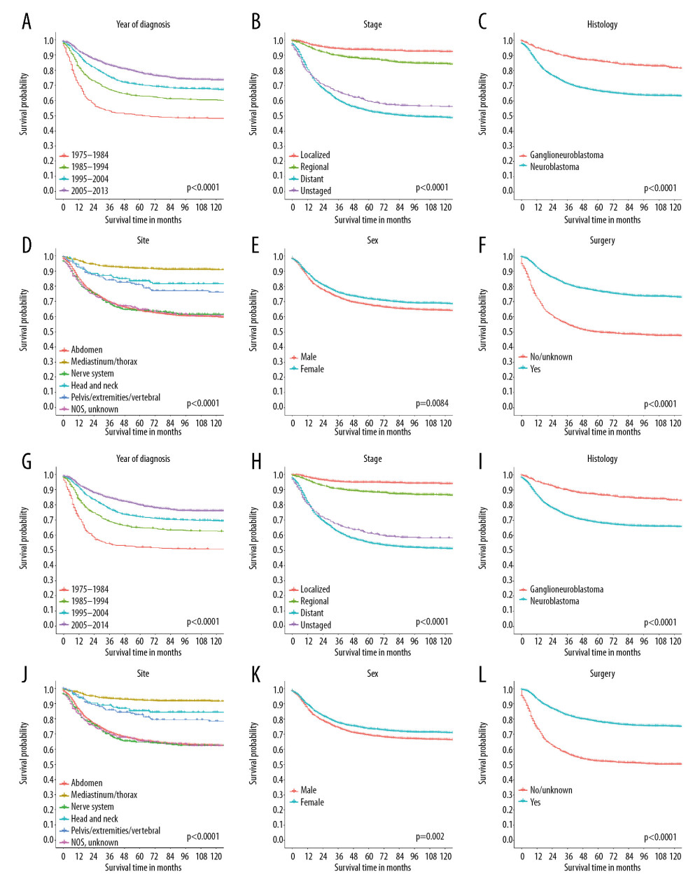 Kaplan-Meier curves of overall survival (A–F) and cancer-specific survival (G–L) for neuroblastoma patients, stratified by year of diagnosis (A, G), stage (B, H), histology (C, I), primary site (D, J), sex (E, K), and the administration of surgery (C, L).