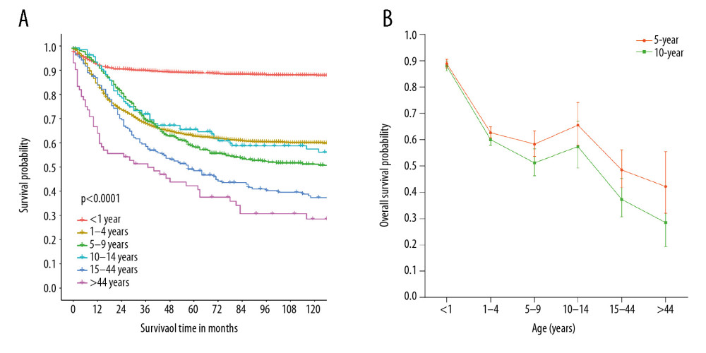 Kaplan-Meier curves of overall survival for all patients, stratified by age at diagnosis (A), and the 5- and 10-year survival probabilities by age group (B).