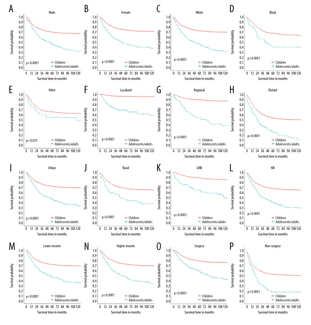 Kaplan-Meier curves of overall survival for adolescents/adults and children with neuroblastoma, stratified by different variables: sex (A, B), race (C–E), stage (F–H), place of residence (I, J), histology (K, L), median household income (M, N), and the administration of surgery (O, P).