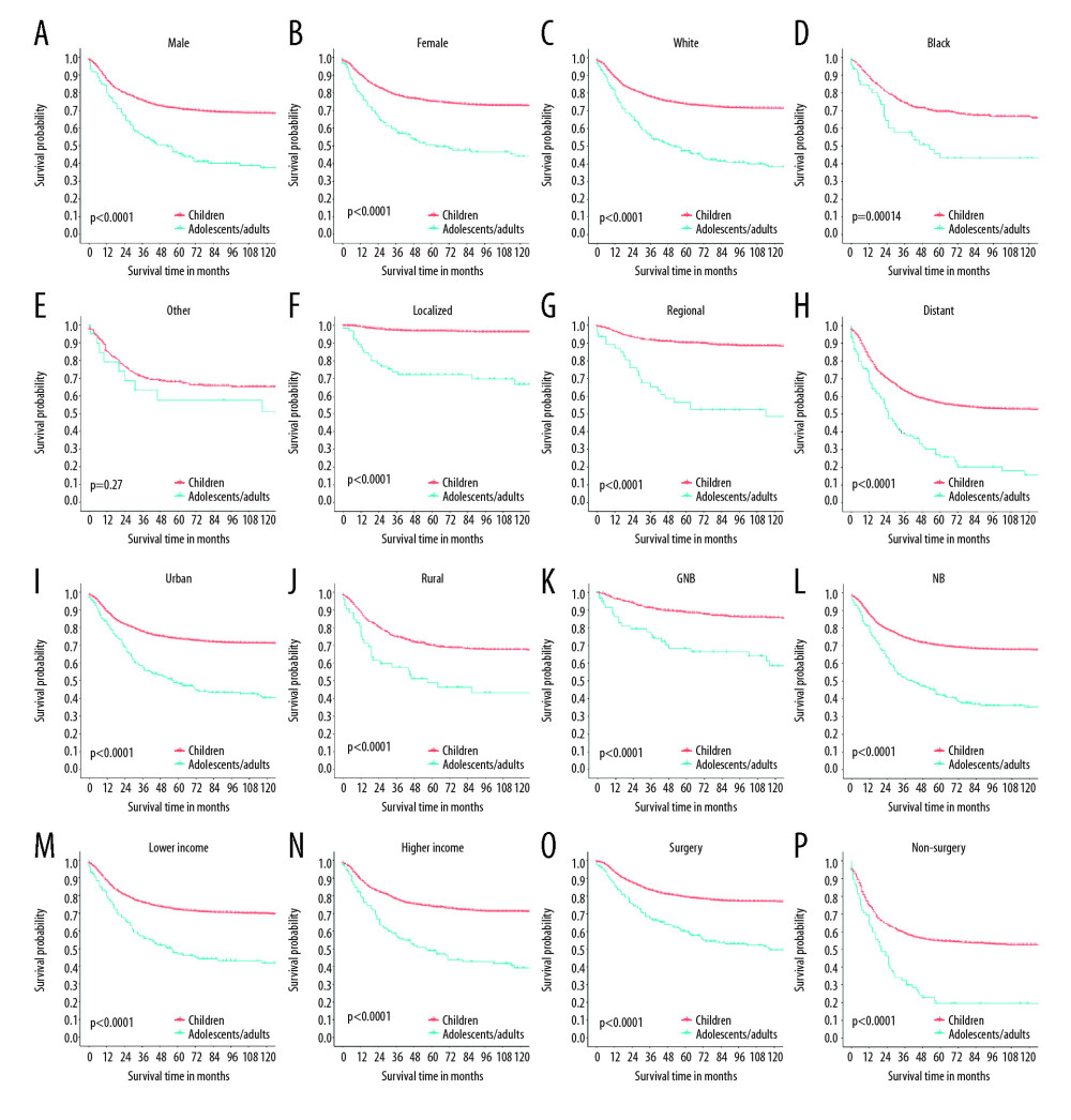 Kaplan-Meier curves of cancer-specific survival for adolescents/adults and children with neuroblastoma, stratified by different variables: sex (A, B), race (C–E), stage (F–H), place of residence (I, J), histology (K, L), median household income (M, N), and the administration of surgery (O, P).