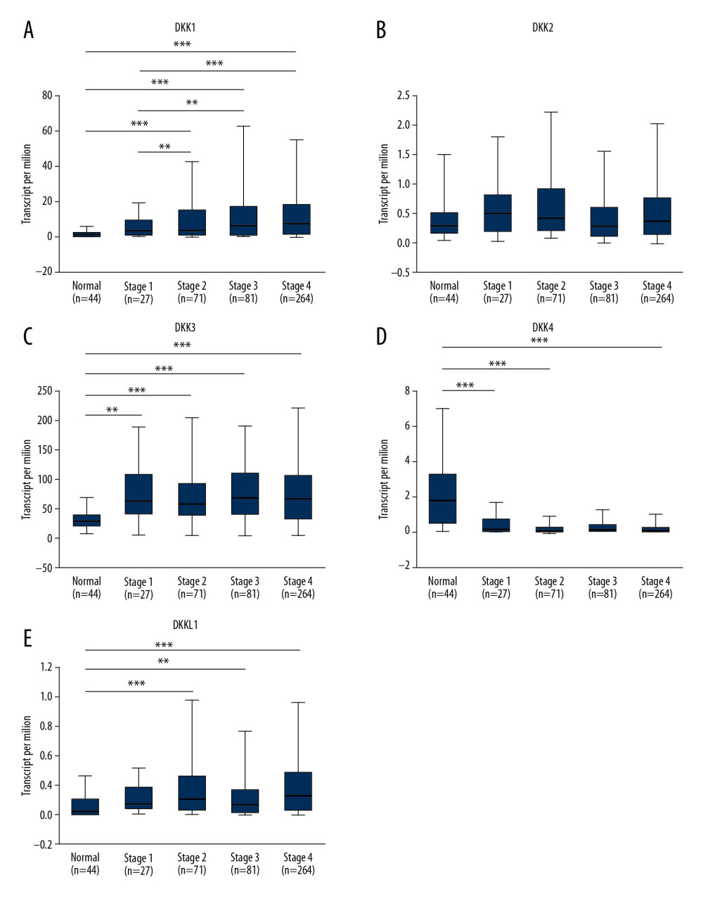 (A–E) Relationship between the mRNA expression of distinct DKKs and tumor stage of HNSCC patients. * P<0.05, ** P<0.01, *** P<0.001. DKK – Dickkopf Wnt signaling pathway inhibitor; HNSCC – head and neck squamous cell carcinoma.