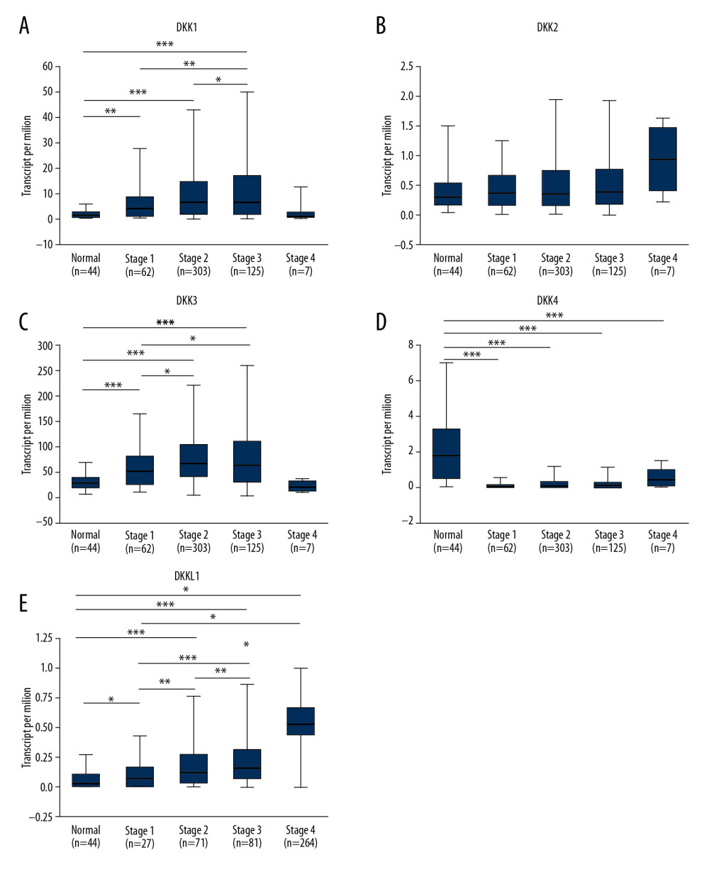(A–E) Association of the mRNA expression of distinct DKKs and tumor grades of HNSCC patients. * P<0.05, ** P<0.01, *** P<0.001. DKK – Dickkopf Wnt signaling pathway inhibitor; HNSCC – head and neck squamous cell carcinoma.