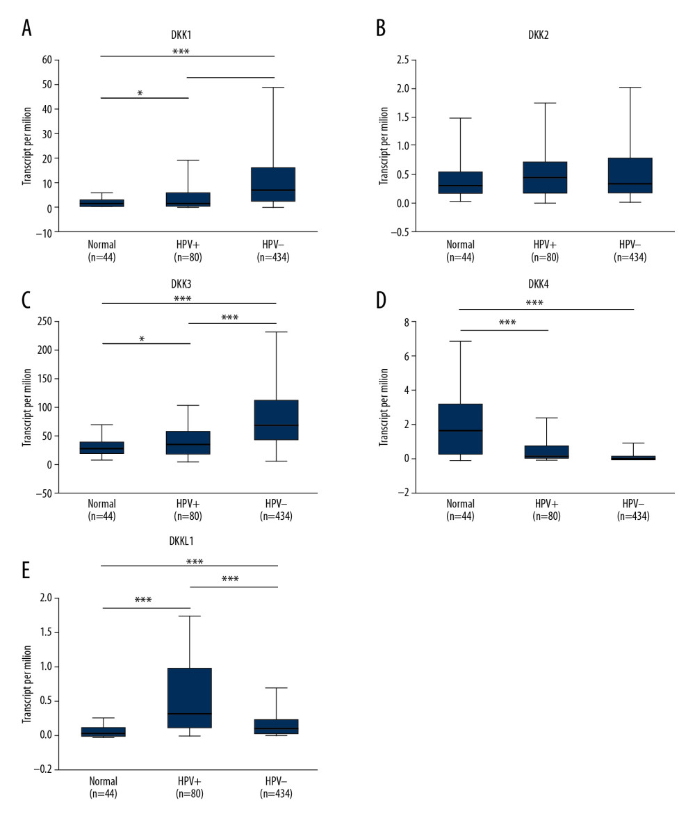 (A–E) Association of the mRNA expression of distinct DKKs with the HPV status of HNSCC patients. HPV status and viral subtypes were assessed by DNA sequencing and PathSeq algorithm [20]. * P<0.05, ** P<0.01, *** P<0.001. DKK – Dickkopf Wnt signaling pathway inhibitor; HNSCC – head and neck squamous cell carcinoma; HPV – human papillomavirus.