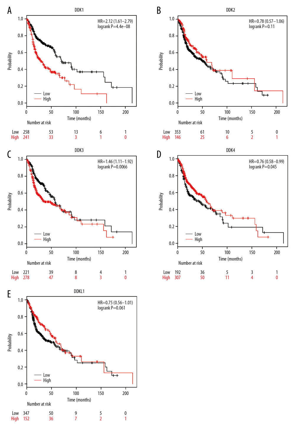 (A–E) Prognostic value of the mRNA expression of distinct DKKs in HNSCC patients (Kaplan-Meier Plotter). DKK – Dickkopf Wnt signaling pathway inhibitor; HNSCC – head and neck squamous cell carcinoma.