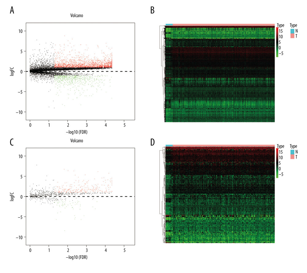Identification of the differentially expressed (DE) immune genes. (A, B) Volcano plot and the heatmap of the DE genes. (C, D) Volcano plot and the heatmap of the DE immune genes.