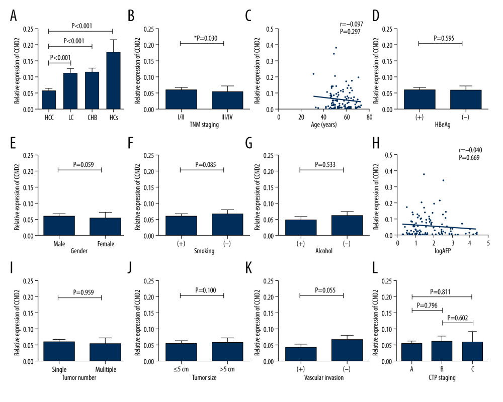 CCND2 mRNA level in the indicated groups and its correlations with clinical characteristics of HCC. (A) CCND2 mRNA levels differed significantly among the 4 groups (HCC vs. LC, P<0.001; HCC vs. CHB, P<0.001; HCC vs. HCs, P<0.001). (B) mRNA levels in HCC patients differed significantly between advanced tumor node metastasis (TNM) stage (III/IV) and early TNM stage (I/II; P=0.030). (C) mRNA level was not correlated with age in 118 HCC patients (P=0.297). (D–G) mRNA levels in HCC patients did not significantly differ between HBeAg-positive and HBeAg-negative patients (P=0.595), male and female patients (P=0.059), smokers and non-smokers (P=0.085), or drinkers and non-drinkers (P=0.533). (H) mRNA levels and serum AFP levels were not significantly correlated in HCC patients (P=0.669). (I–K) mRNA levels did not significantly differ between HCC patients with a single tumor and those with multiple tumors (P=0.959), those with tumors ≤5 cm and those with tumors >5 cm (P=0.100), or HCC patients with and without vascular invasion (P=0.055). (L) mRNA levels did not differ among CTP stages within the HCC group (A vs. B, P=0.796; A vs. C, P=0.811; B vs. C, P=0.602).