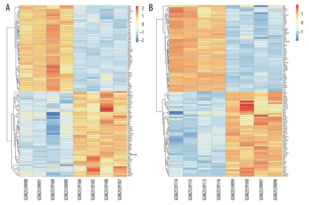 Hierarchical clustering analysis included DEGs between the sham control and intestinal ischemia/reperfusion (I/R) injury groups. Relative levels of gene expression are represented using a color scale: blue represents downregulated gene levels and red represents upregulated gene levels. (A) 3 h post intestinal I/R injury vs. sham. GSM2539097/2539098/2539099/2539100 refers to the intestine samples from the sham control group, and GSM2539106/2539105/2539108/2539107 refers to the intestine samples from the intestinal I/R group. (B) 6 h post intestinal I/R vs. sham. GSM2539097/2539098/2539099/2539100 refers to the intestine samples from the sham control group, and GSM2539116/2539113/2539115/2539114 refers to the intestine samples from the intestinal I/R group.