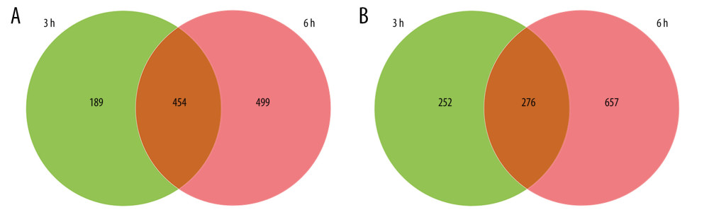 Venn diagrams of differentially expressed genes (DEGs) at 3 h and 6 h post intestinal ischemia/reperfusion (I/R) injury, including (A) upregulated DEGs following intestinal I/R. (B) Downregulated DEGs following intestinal I/R injury.