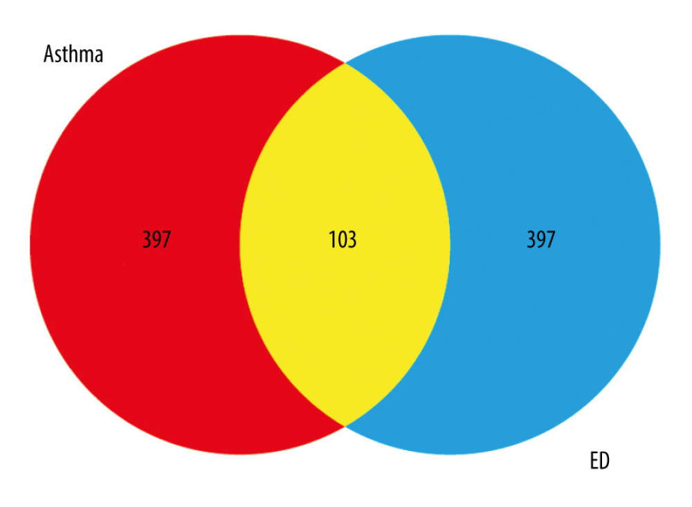 Venn diagram: intersection of targets for asthma and targets for erectile dysfunction (ED). On the basis of DAVID database, we predicted the intersection of targets for ED and targets for asthma. Individual targets for ED are shown as a blue circle. Individual targets for asthma are shown as a red circle. The intersection of these targets is shown as a yellow circle.