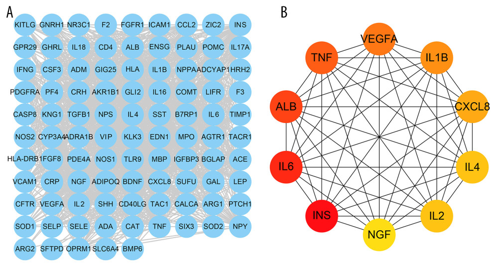 Protein–protein interaction (PPI) network. (A) PPI network built by Cytoscape v3.7.1. (B) PPI network processed by a Cytoscape v3.7.1 plug-in called cytoHubba. The node color is proportional to the degree of PPI.