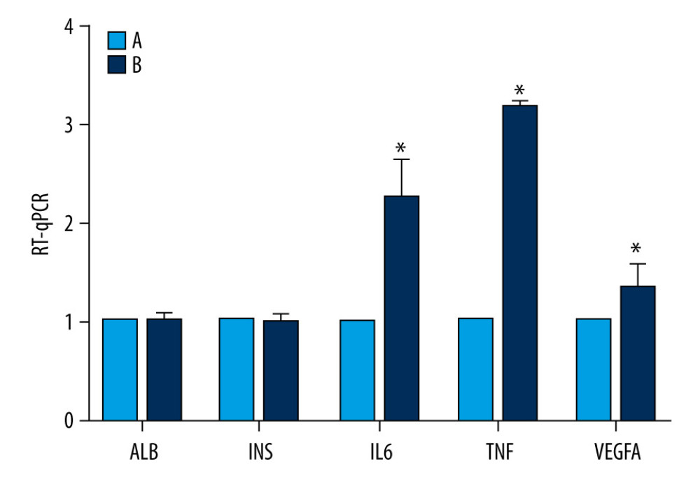 Expression of the messenger ribonucleic acid (mRNA) of insulin (INS), albumin (ALB), tumor necrosis factor (TNF), interleukin 6 (IL6), and vascular endothelial growth factor A (VEGFA) in rat penis. The red bar chart represents expression of the mRNA of INS, ALB, TNF, IL6, and VEGFA in group A; the blue bar chart represents expression of the mRNA of these substances in group B. Values are mean±SEM (n=6 animals per group). The t test was used. Group B was compared with group A, * P<0.05.