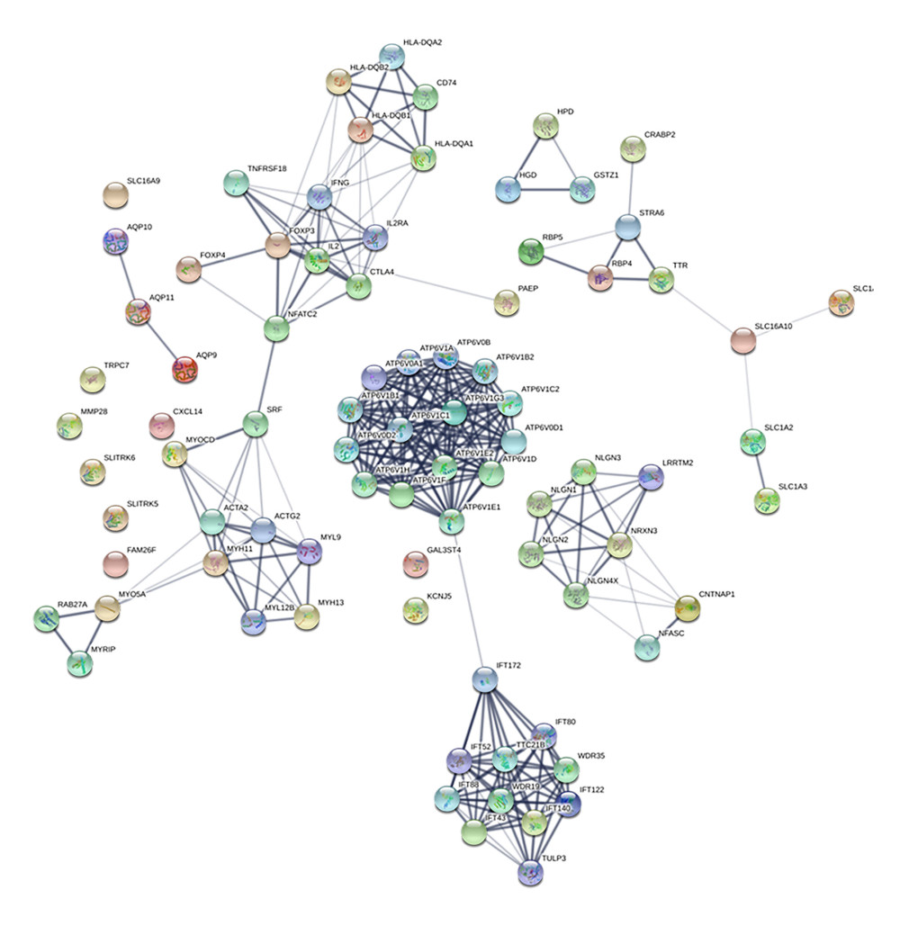 Protein–protein interaction (PPI) network of the dysregulated genes. In the network, 83 nodes and 273 edges with the average node degreed of 6.58 were established.