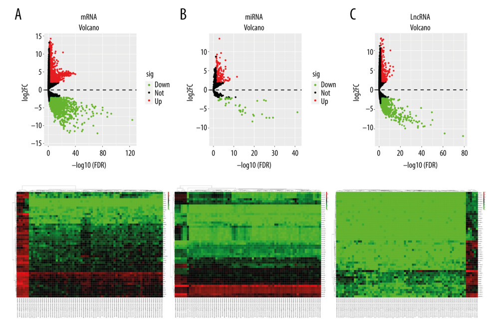 Heat map and volcano map of differential gene expression in rhabdoid tumor of the kidney (RTK). The colors from green to red indicate the trend from low to high expression, respectively. (A) lncRNA, (B) miRNA, (C) mRNA.