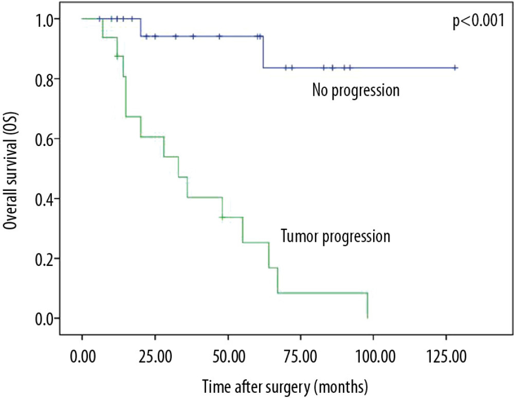 Overall survival by tumor progression.