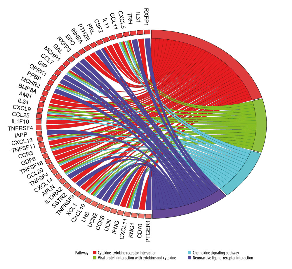 Kyoto Encyclopedia of Genes and Genomes (KEGG) analysis of immune-related upregulated differentially expressed genes. Different color bands correspond to different KEGG enrichment pathways.