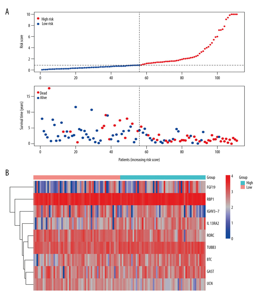 (A) Risk plots for high- and low-risk groups. Each blue dot represents a living patient, whereas each red dot represents a dead patient. (B) Heatmap of expression levels of the 9 genes in response to IRDEGs signature in patients.