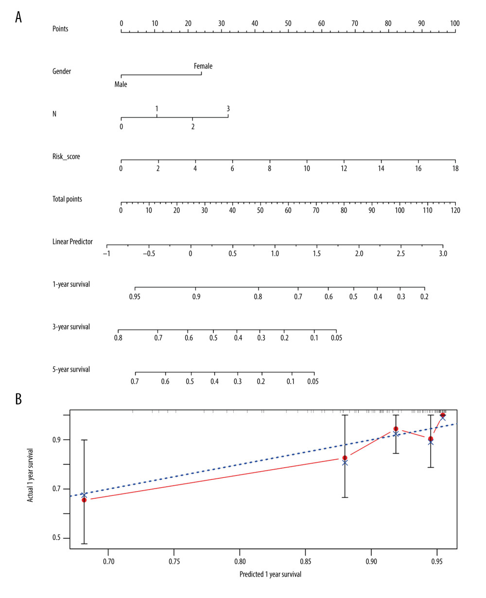 Nomogram and corresponding verification. (A) Nomogram based on immune-related differentially expressed genes and clinical parameters. (B) Calibration curve with a horizontal axis that represents the predicted value of the nomogram and a vertical axis representing the actual survival rate of patients. N, nodes stage.