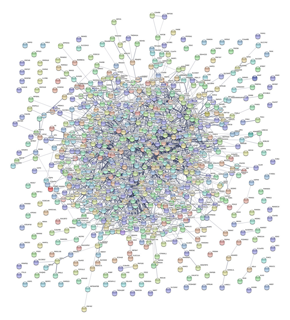 Interactions of the differentially expressed proteins. Protein–protein interaction (PPI) network constructed by STRING.