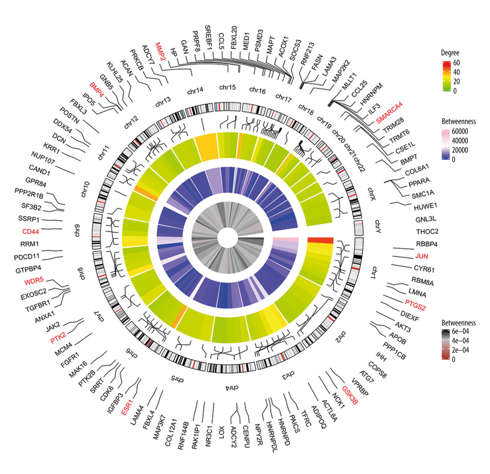 Circular visualization of chromosomal positions and connectivity of the top 100 genes in the protein–protein interaction (PPI) network. The names of the genes are shown in the outer circle. Different colors show different values of degree, betweenness, and closeness. The outer circle represents chromosomes; lines coming from each gene point to their specific chromosomal locations. The 10 hub genes are shown in red.