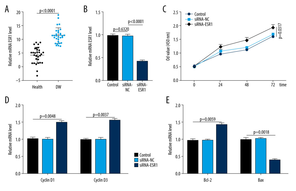 ESR1 is enriched in patients with diabetic wounds (DWs) and regulates human skin fibroblasts (HSFs). (A) The expression of ESR1 in the 2 groups was measured by quantitative reverse-transcription polymerase chain reaction (qRT-PCR) analysis, n=30 per group. (B) The expression of ESR1 in cell groups with different treatments was measured by qRT-PCR analysis. (C) The CCK-8 results of HSFs in different groups. (D) The levels of cyclin D1 and cyclin D3 in different groups were measured by qRT-PCR analysis. (E) The levels of Bcl-2 and Bax were measured by qRT-PCR analysis.
