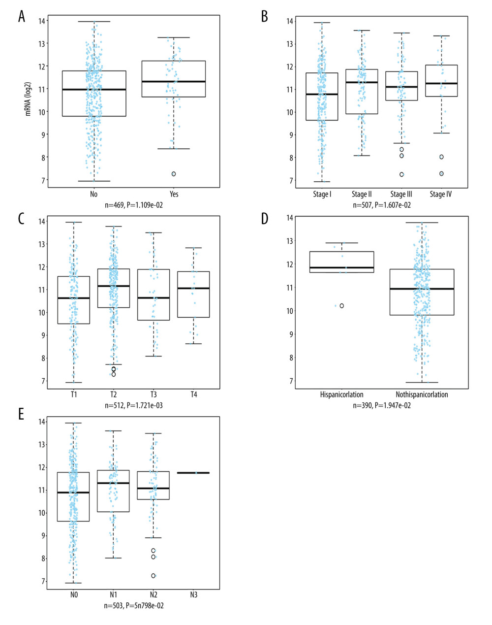 LinkedOmics analysis for the relationship between TOP2A mRNA expression level and clinicopathological features of LUAD. (A) Radiation therapy; (B) pathologic stage; (C) pathology t stage; (D) ethnicity; (E) pathology n stage. Box plots and P values of were produced using LinkedOmics.