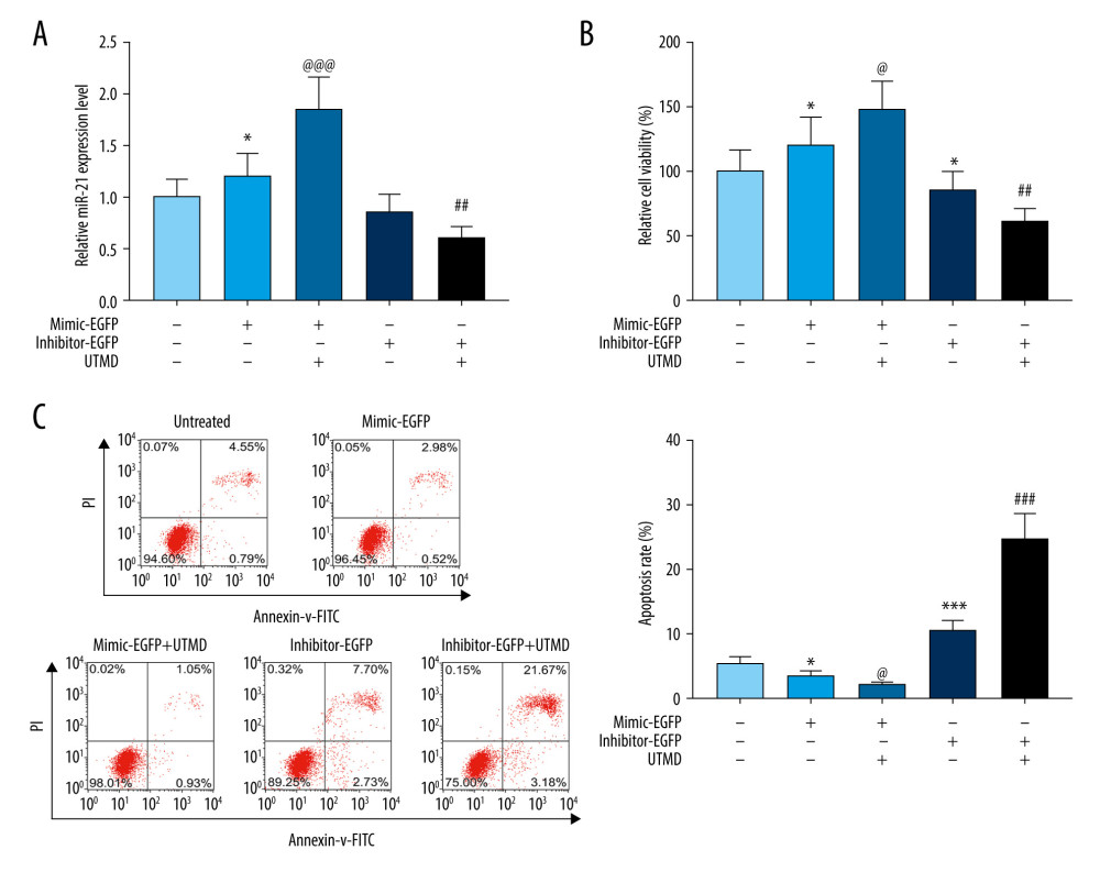 Effects of UTMD-mediated miR-21 transfection on HeLa cell viability and apoptosis. (A) RT-qPCR was used to determine the expression of miR-21 in the untreated, mimic-EGFP, mimic-EGFP+UTMD, inhibitor-EGFP, and inhibitor-EGFP+UTMD groups. U6 was used as an internal reference. The ultrasonic intensity was 1.5 W/cm2. (B) CCK-8 was used to detect the effect of miR-21 plasmid on the survival rate of HeLa cells (ultrasonic intensity was 1.5 W/cm2). (C) The effect of miR-21 plasmid on the apoptosis rate of HeLa cells was selected by flow cytometry (ultrasonic intensity was 1.5 W/cm2). * P<0.05 and *** P<0.001 vs untreated; @ P<0.05 and @@@ P<0.001 vs mimic+EGFP; ## P<0.01 and ### P<0.001 vs inhibitor+EGFP. UTMD – ultrasound-targeted microbubble destruction; RT-qPCR – reverse transcription quantitative polymerase chain reaction; EGFP – enhanced green fluorescent protein.