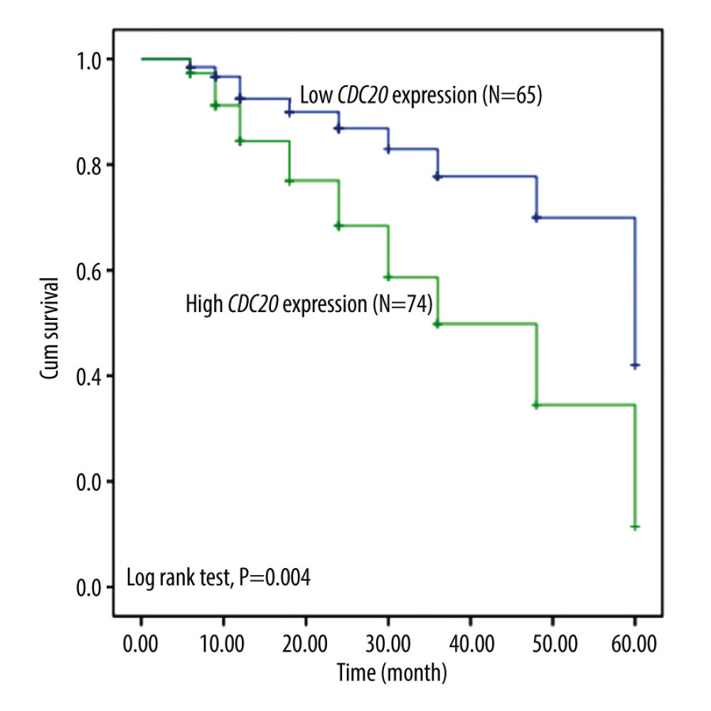 Kaplan-Meier analysis for hepatocellular carcinoma patients based on the expression of CDC20.
