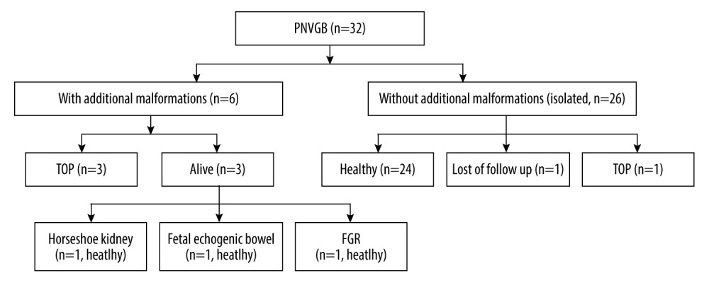 Outcomes of 32 cases of PNVGB. PNVGB – prenatal non-visualization of gallbladder; TOP – termination of pregnancy; FGR – fetal growth restriction.