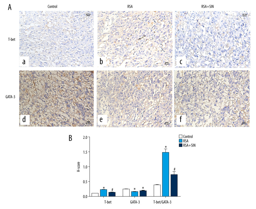 Effect of SIN on T-bet and GATA-3 location in placental tissues of RSA mice. (A) Immunohistochemical staining for the expression of T-bet (a–c) and GATA-3 (d–f) in the placenta of the control (a, d), RSA (b, e) and SIN-treated (c, f) mice. Magnification: 400×. (B) H-score for the immunohistochemical staining intensity of T-bet, GATA-3, and T-bet/GATA-3 ratio. Data are expressed as mean±S.E.M. * P<0.05, compared with the control group; # P<0.05, compared with the RSA group.
