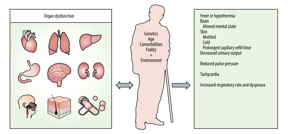 Clinical manifestations and organs involved in sepsis.
