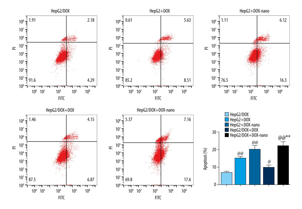 Analysis of apoptotic HepG2 or HepG2/DOX cells using annexin V-fluorescein isothiocyanate/propidium iodide flow cytometry assay. Compared with the HepG2/DOX group, @ P<0.05, @@ P<0.01; compared with the HepG2+DOX-nano group, # P<0.05, ## P<0.01; compared with the HepG2/DOX+DOX group, * P<0.05, ** P<0.01. DOX – doxorubicin; DOX-nano – doxorubicin-loaded docosahexaenoic acid nanoparticles.