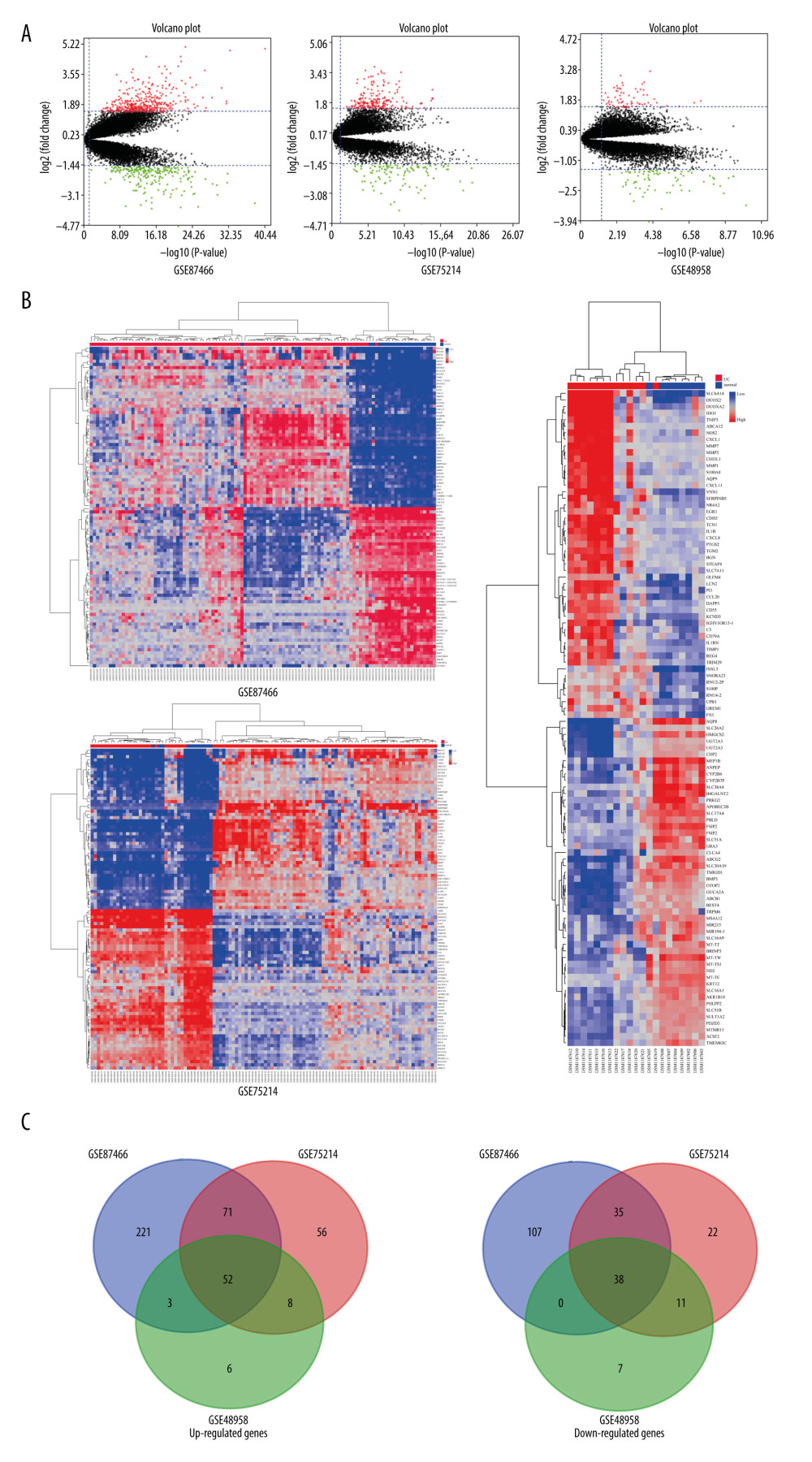 Screening results for the differentially expressed genes. (A) Volcano maps of gene expression in GSE87466, GSE75214, and GSE48958 datasets. Data points in red, green, and black represent genes with upregulated, downregulated, and not significantly different expression, respectively. (B) Heat maps of gene expression GSE87466, GSE75214, and GSE48958 datasets. (C) Venn diagram of common differentially expressed genes in GSE87466, GSE75214, and GSE48958 datasets.