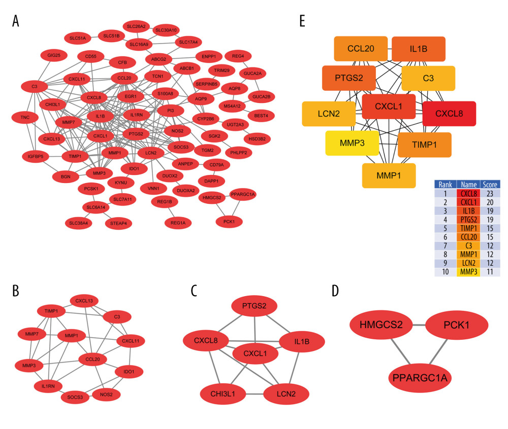Protein–protein interaction (PPI) analysis. (A) PPI networks of the common differentially expressed genes. (B–D) The 3 top-scoring modules are shown from the top to bottom. (E) The PPI hub gene module.