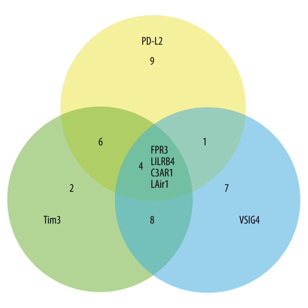 Venn diagram showing the common genes highly associated with the expression of PDL2, TIM3, and VSIG4.