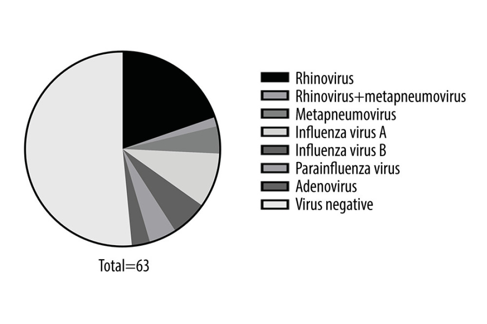Results of the respiratory virus test.