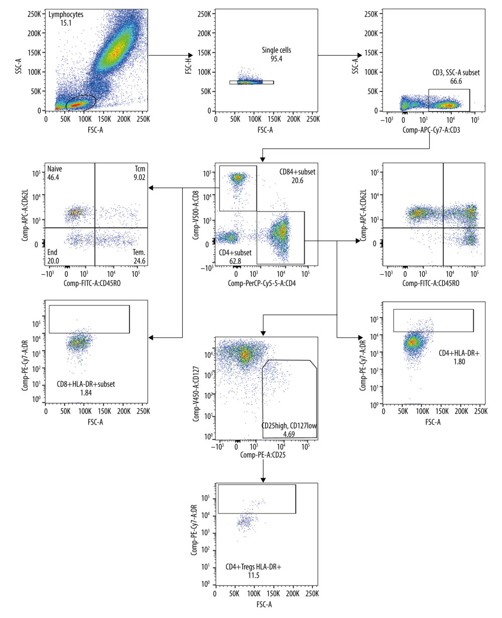 Gating strategy for T cells via flow cytometry analysis.