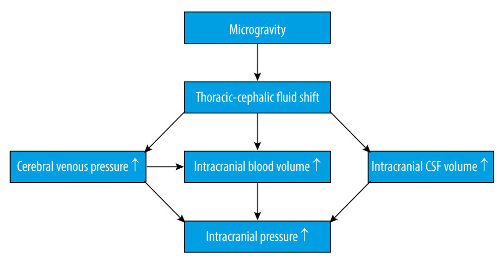 Several selected regulatory mechanisms for mean blood pressure during microgravity.