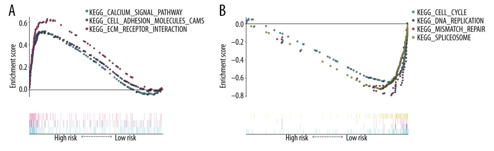 GSEA enrichment analysis of gene sets in the high and low risk score groups. (A) The most distinct pathways correlated with the high-risk score group. (B) The most significant pathways are associated with the low risk score group.