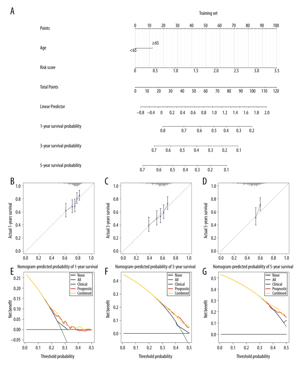 Validation of the nomogram model combining risk score and age in the validation cohort. (A) Nomogram for predicting the proportion of patients with overall survival after diagnosis of gastric cancer in the validation cohort. (B–D) Calibration plots of nomograms in terms of agreement between predicted and actual 1-, 3-, and 5-year outcomes. (E–G) Decision curve analysis of the nomogram model, age, and prognostic model for 1-, 3-, and 5-year survival time.