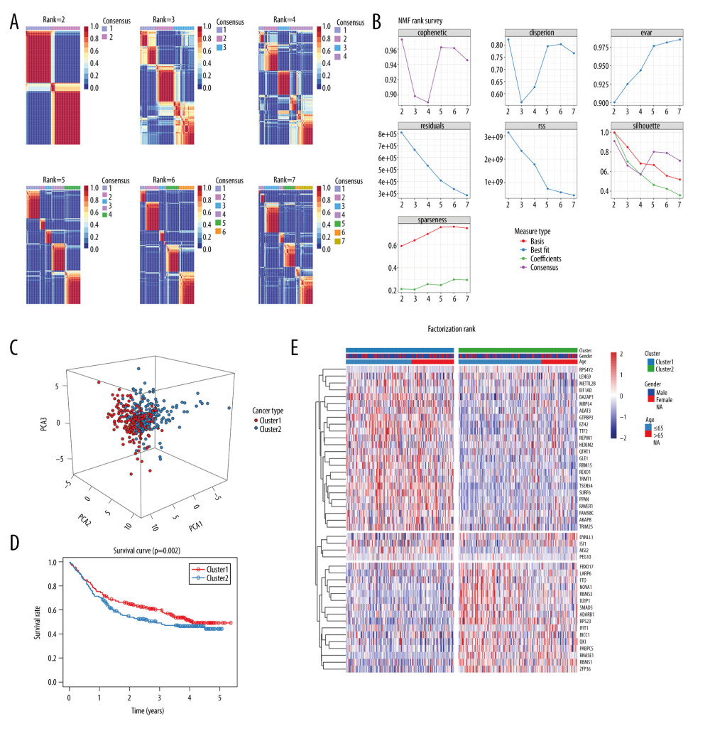 Verification of molecular subtypes for gastric cancer in the validation set. (A, B) NMF clustering results for prognosis-related RBPs. (C) PCA results. (D) Overall survival analysis for 2 molecular subtypes. (E) Gene expression signatures of 2 distinct molecular subtypes.